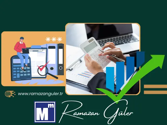 Mali Müşavirlik Hizmeti Ankara