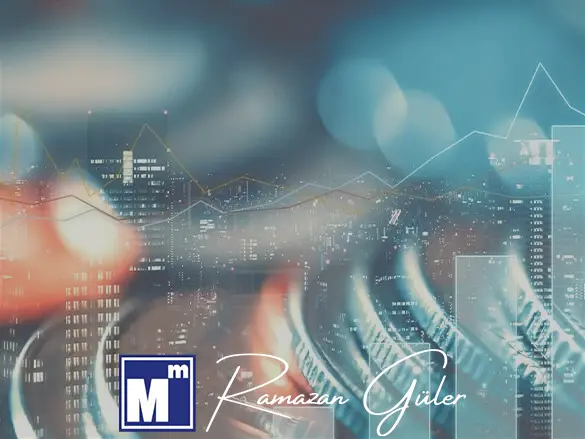 Mali Yapılanma Danışmanlığı